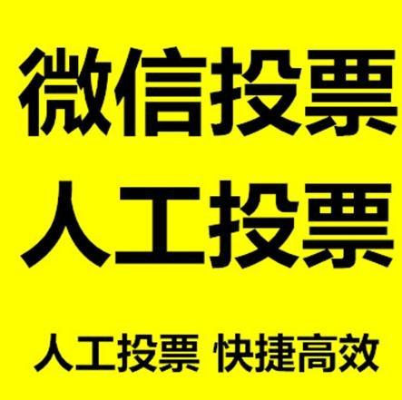 鄂尔多斯市微信刷票怎么投票